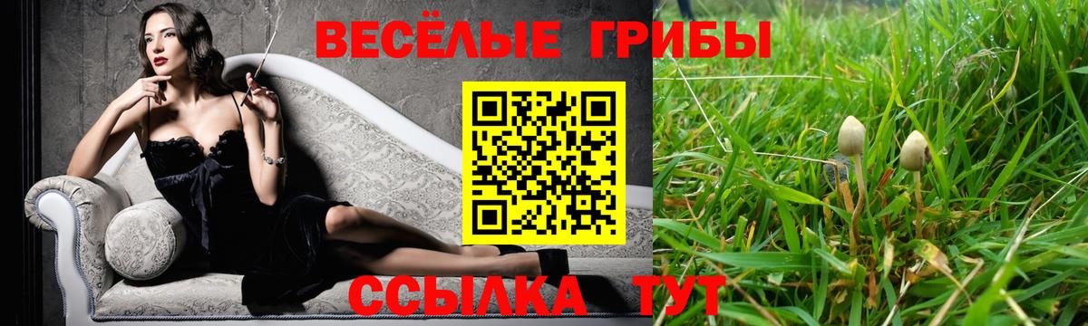 Галлюциногенные грибы мухоморы  Галлюциногенные грибы прущие грибы  Шали  Вход с VPN 