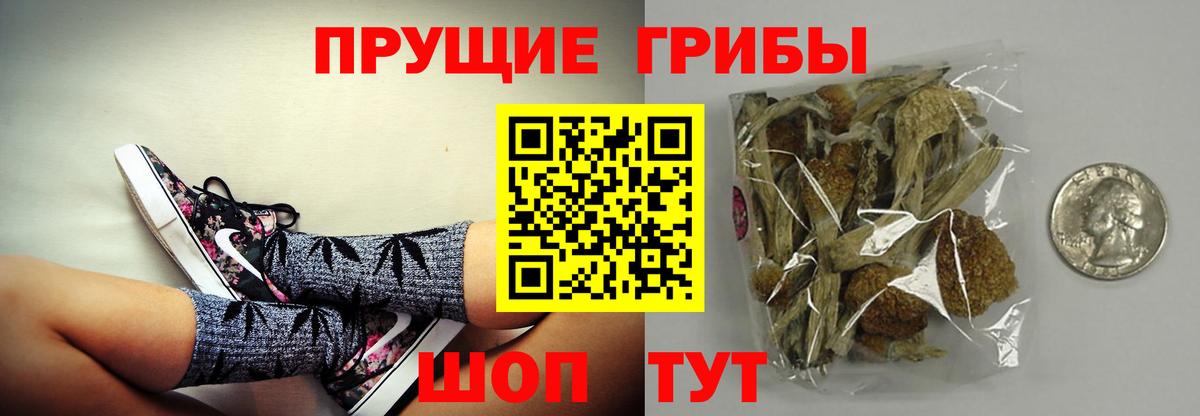 Галлюциногенные грибы MAGIC MUSHROOMS Шали